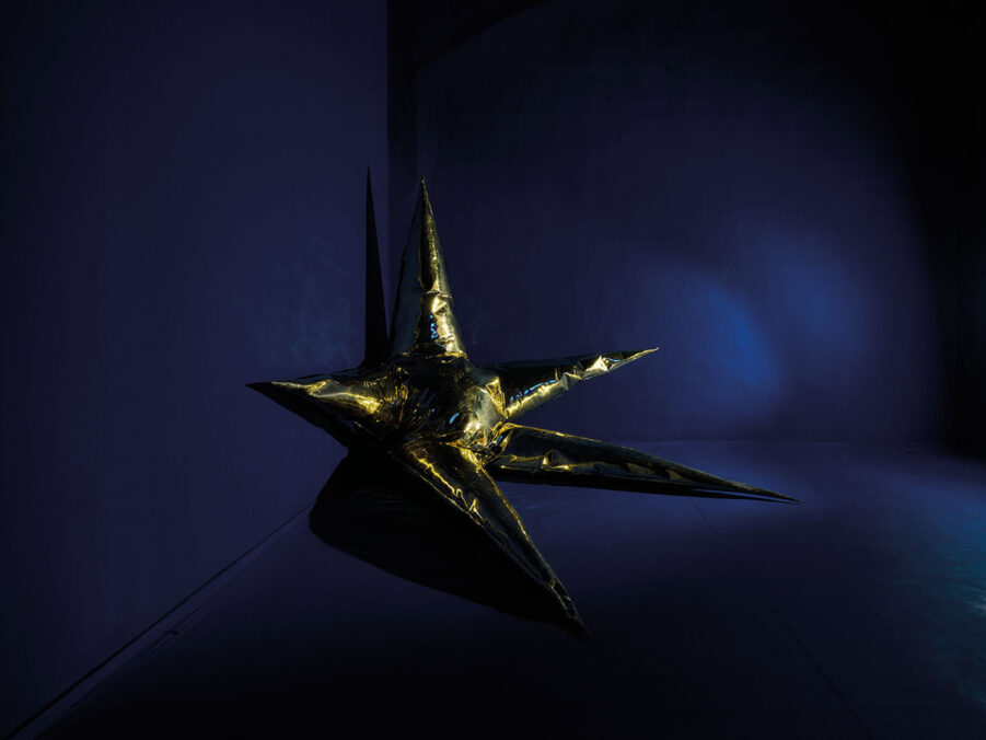 Gwest Star: Destiny, Osservatorio Futura Torino, 2023, ph Davide D’Ambra