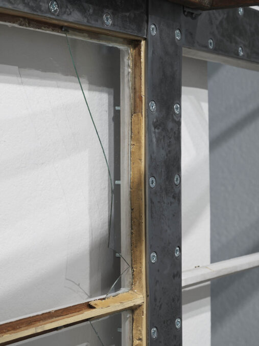 Left, right: Detail: Sight in Flight, Gala Alica, The Cabinet, 2026, Maribor Art Gallery. Photo: Jaka
Babnik, courtesy of the artist