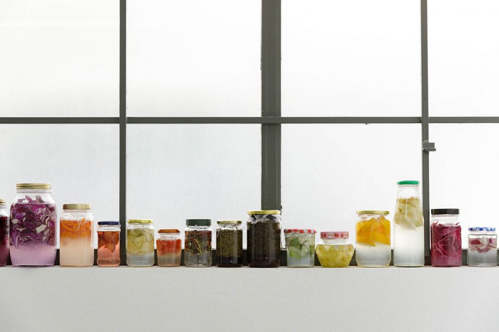 IN VITRO Giulia Savorani