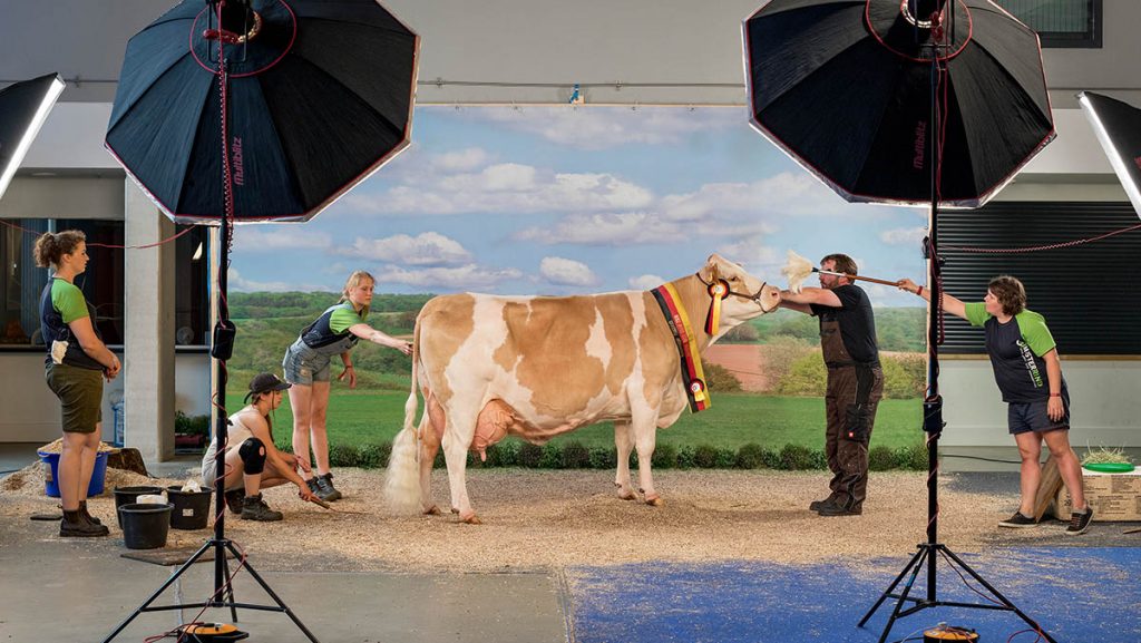 ©Hans-Jürgen Burkard/Edition Lammerhuber