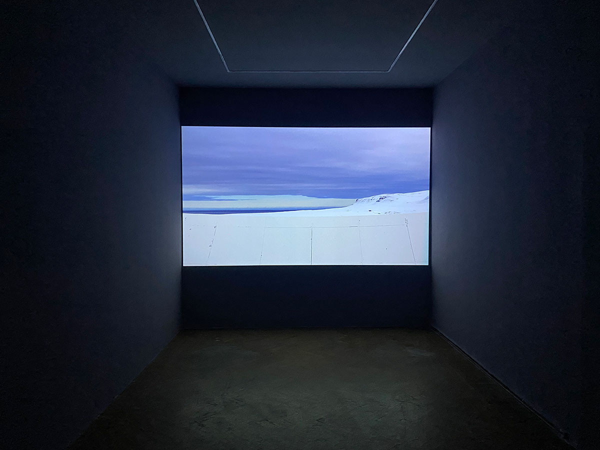 Emilija Skarnalyte, Sirenomelia, Film, 11 min, HD, 2018 Exhibition view at Harabel Exhibiton Space 2021-2022