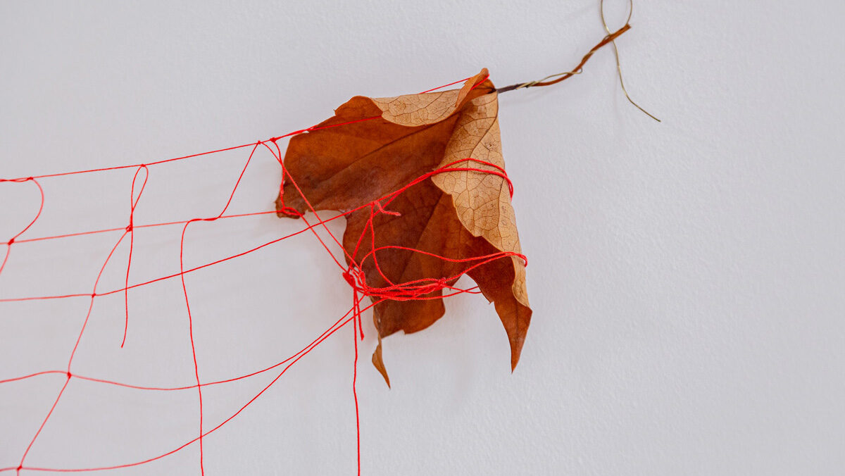 Entangled series - Two leaves [Serie Entangled – Due foglie], 2023, Courtesy Artra Gallery, ph Matteo Cremonesi