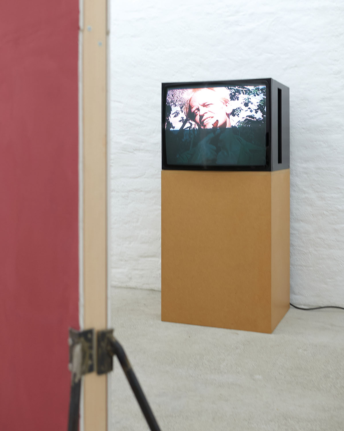 exhibition: Nicolas Jasmin: L’Insecte at Pech (Große Neugasse 44/2, 1040 Vienna)