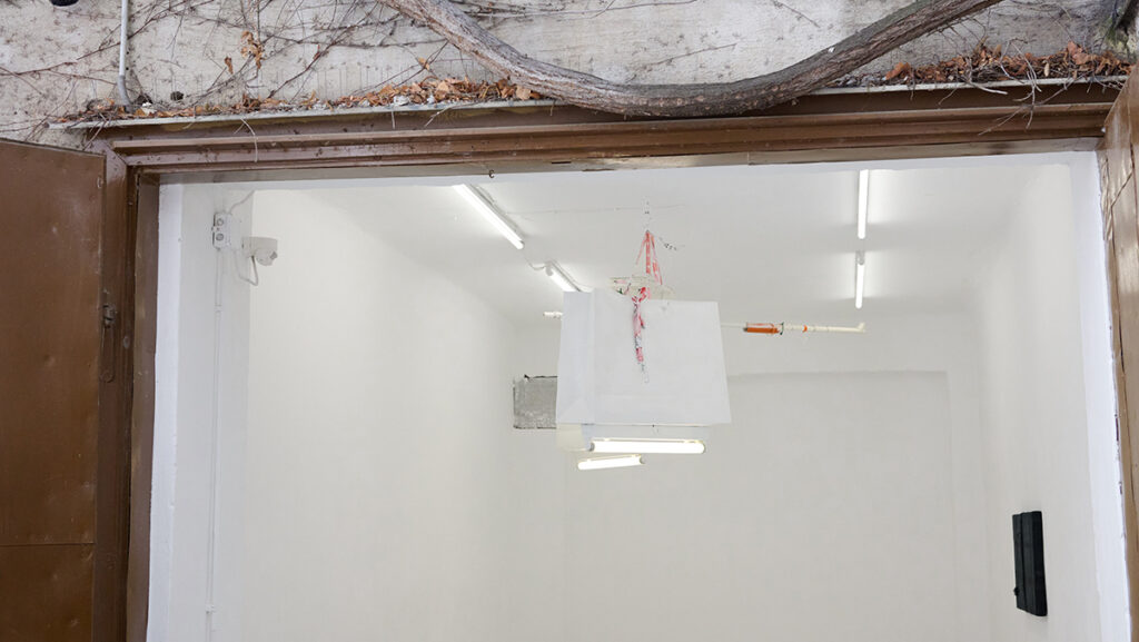 Exhibition: Jonas Morgenthaler: FEATURES at Cache Millergasse 20/4, 1060 Vienna