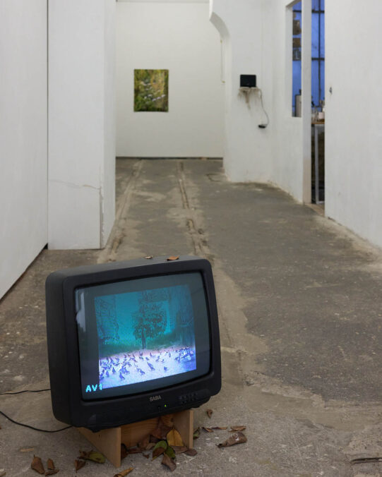 Exhibition: Niklas Feinik & Tuure Leppänen: resin in my brain glues my pictures together at dito Hermanngasse 18/2, 1070 Vienna