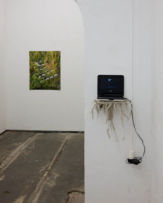 Exhibition: Niklas Feinik & Tuure Leppänen: resin in my brain glues my pictures together at dito Hermanngasse 18/2, 1070 Vienna