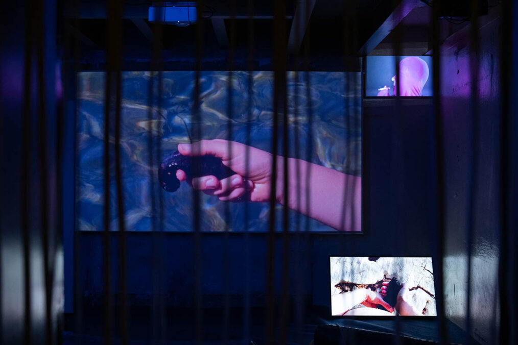 Tea Stražičić, Do Humans Dream Of Electric Dogs? Photography: Ivan Buvinić / KUĆĆA