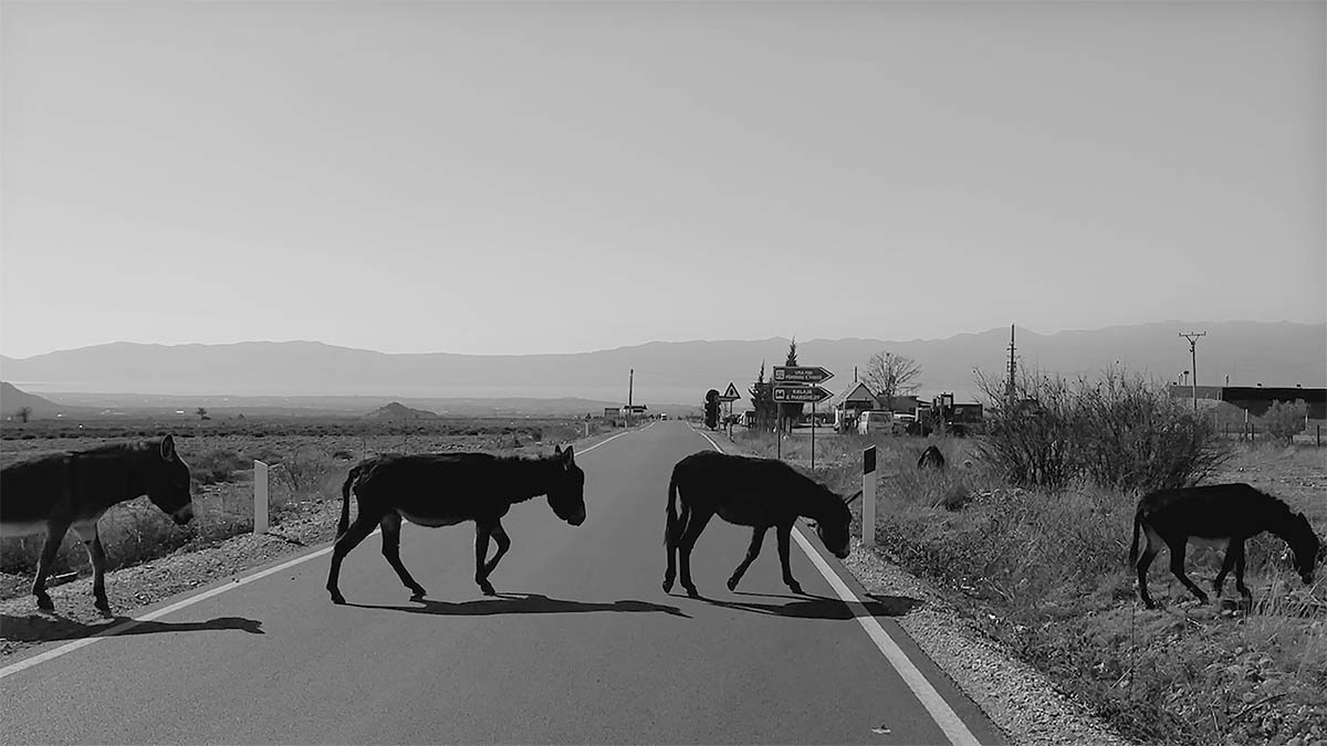 Adrian Paci
The Wanderers
2021
stills from video
courtesy of the artist and kaufmann repetto Milan / New York