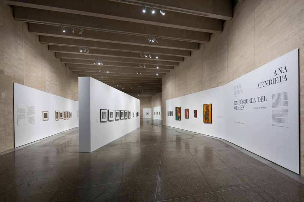 Ana Mendieta: Search for Origin