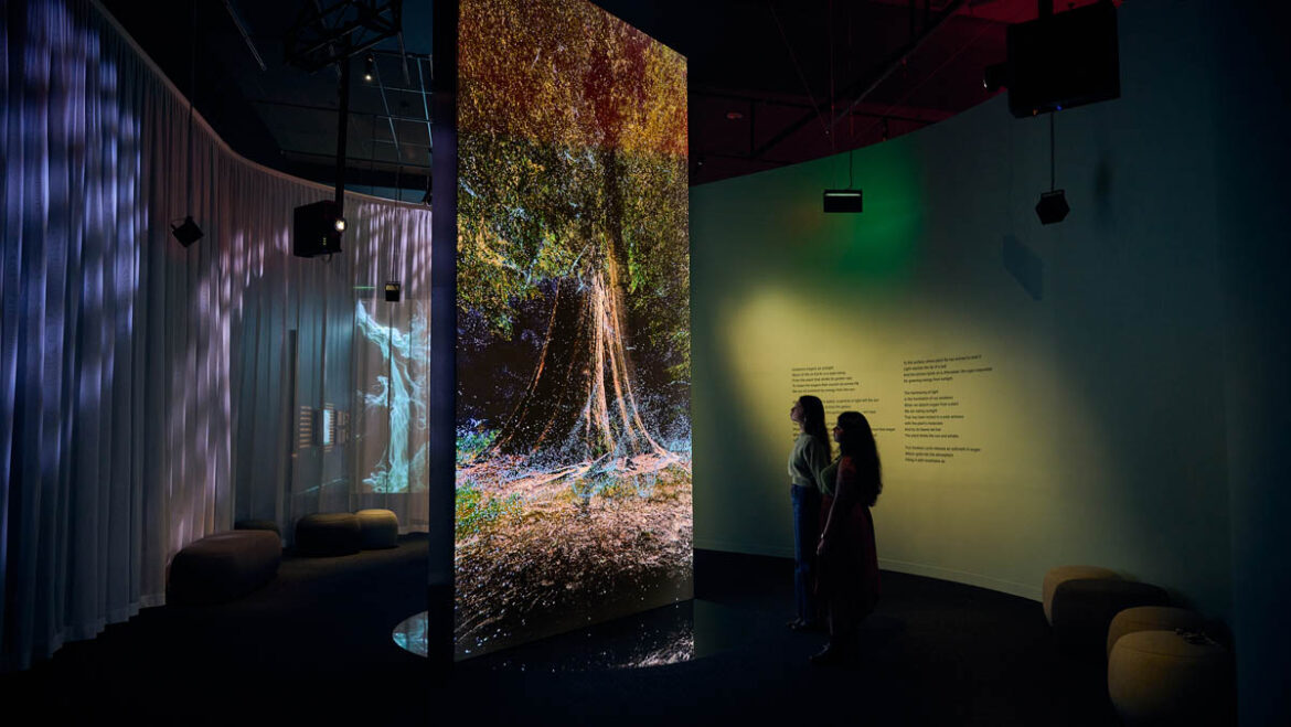 We Live in an Ocean of Air by Marshmallow Laser Feast, Works of Nature, ACMI, 2023, image by Eugene Hyland_
