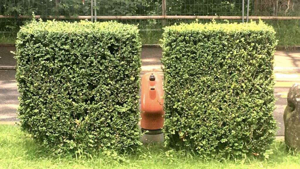 Interview Beate Frommelt