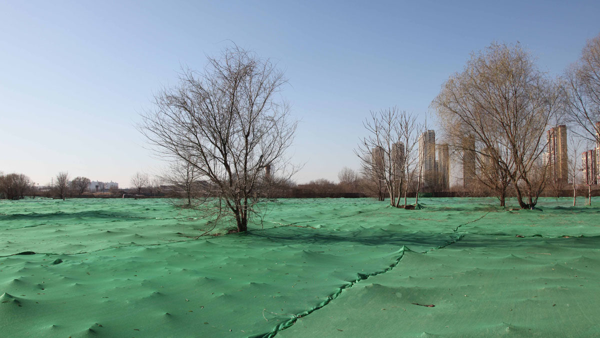 Ella Raidel, Green Screen Landscape, 2017, 100 x 140 cm, Edition: 5+1