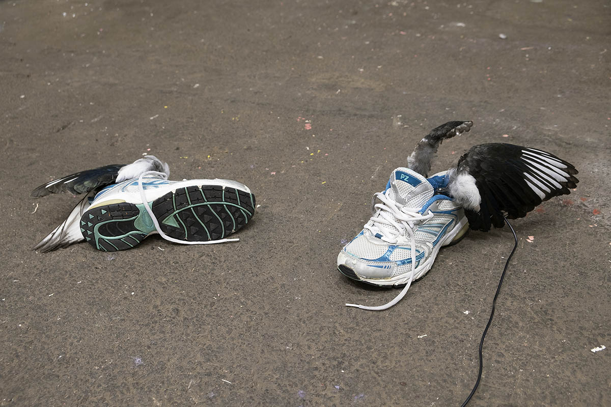 Waiting talarias I & II Taxidermy magpie wings, sneakers, electronics (2021)