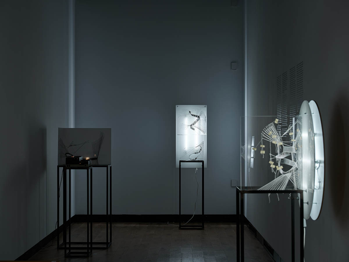 Exhibition view, Memory of Touch: Chapter I (The Kunsthalle Praha Collection in Dialogue), Ján Mančuška, Oppression Born from an Initial Figment (Vol. I–V), 2009 photo Vojtěch Veškrna.