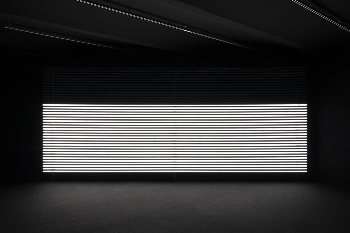 Marianna Simnett, Faint with Light, 2016, installation view Circus, Secession 2026. Courtesy of the artist and Société, Berlin. Photo: Sophie Pölzl