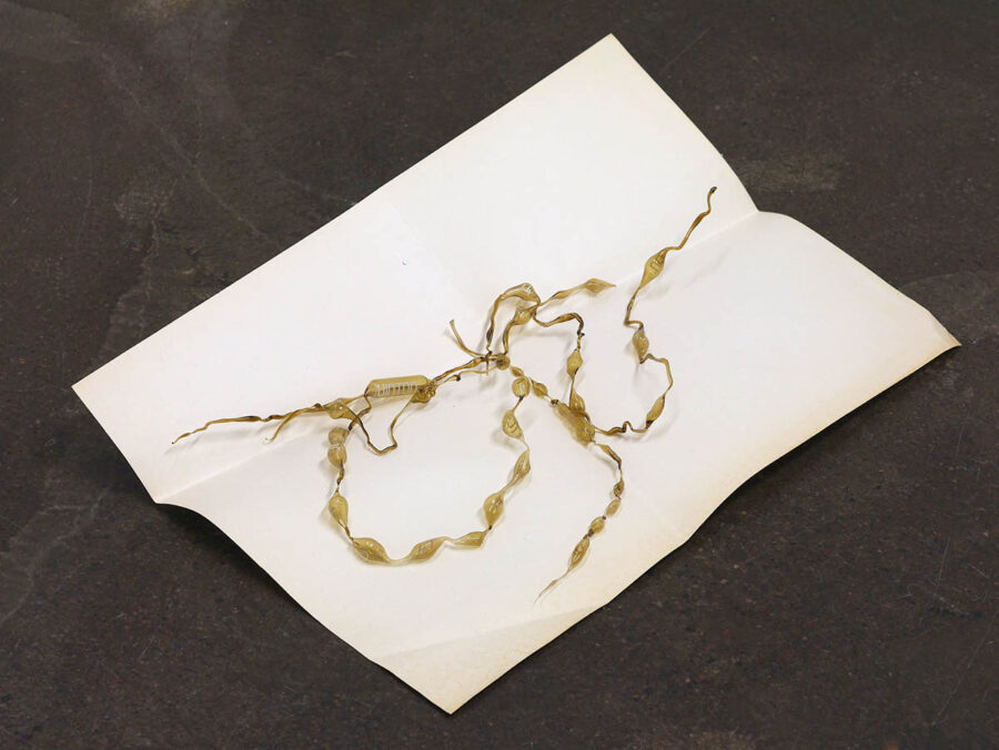 Océane Bruel, Hypertonic, 2025, Fall, Titanik, Turku, Photo: dylan ray arnold