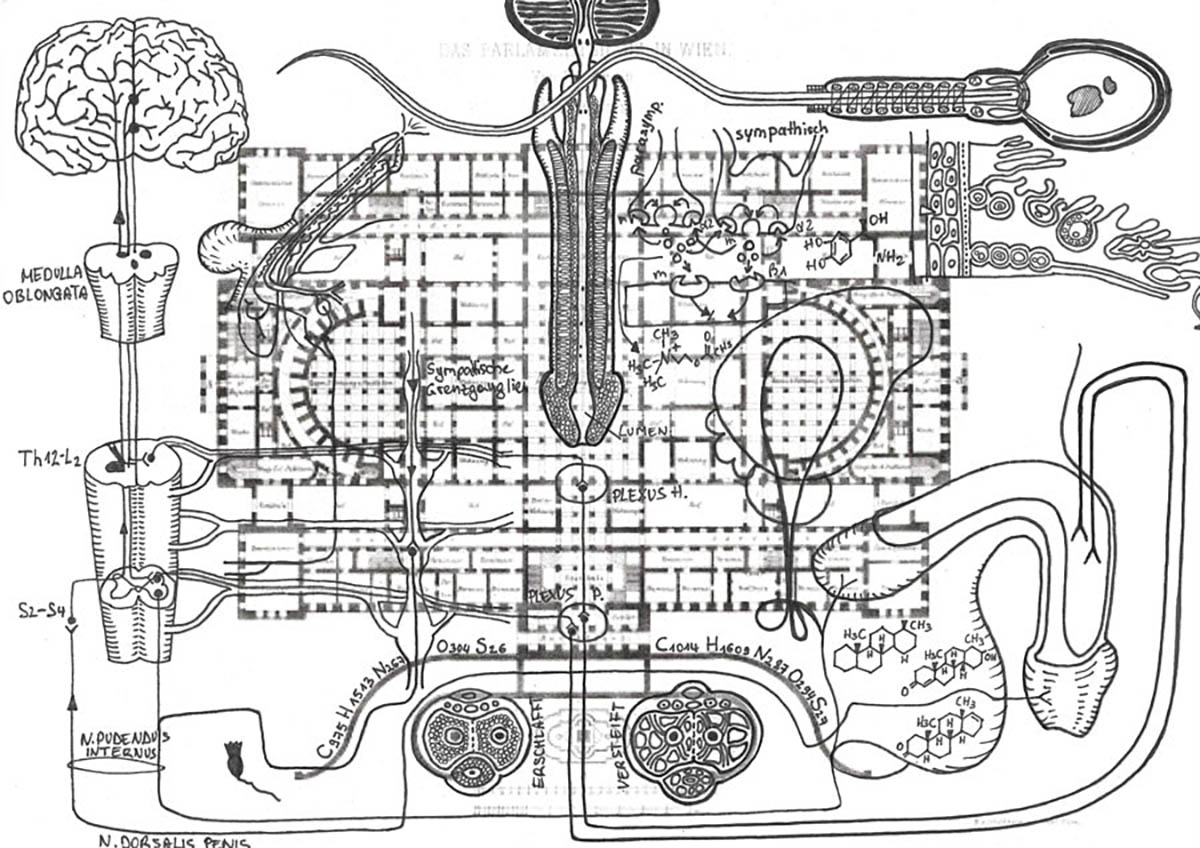 Das Parlament Tusche auf Papier 21 x 29,7 cm, Wien 2021