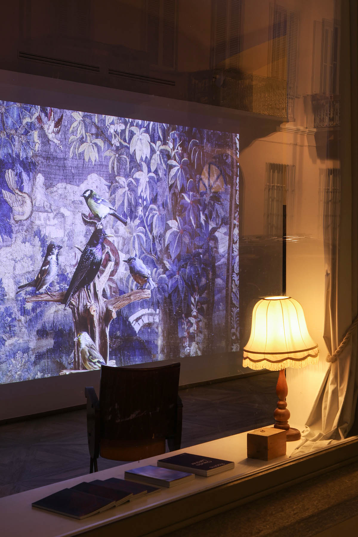 exhibition view: Claudia Larcher - Extinction Story. Photo: Alessandro Santi
