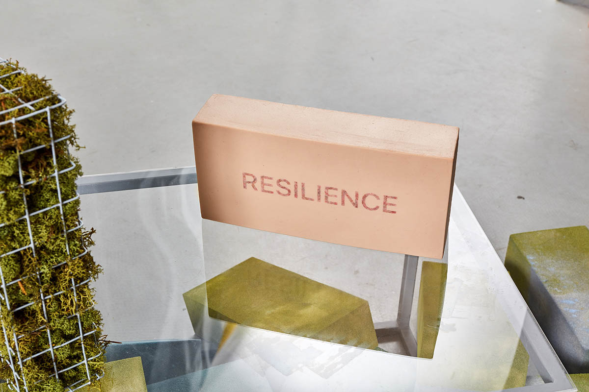 Resilience: photo: Dávid Bíró