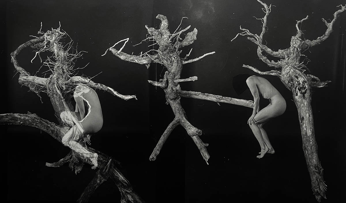 Untitled study, 2025. Gelatin Silver Print, photomontage, 30 × 40 cm