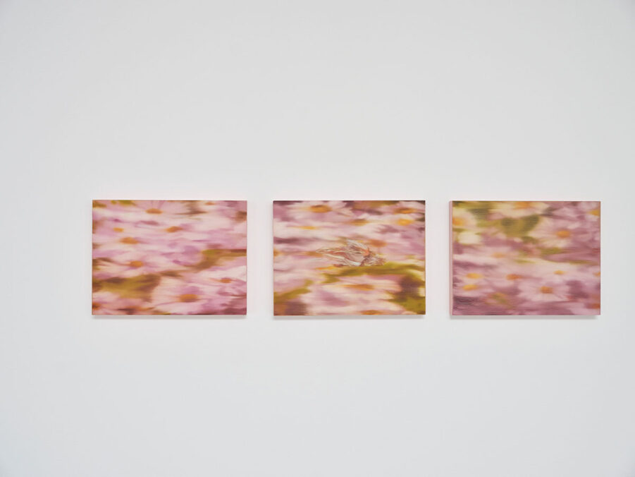 exhibition view. Martina Grlić - Saccharine Idyll © TROTOAR Gallery, photo D. Žižić