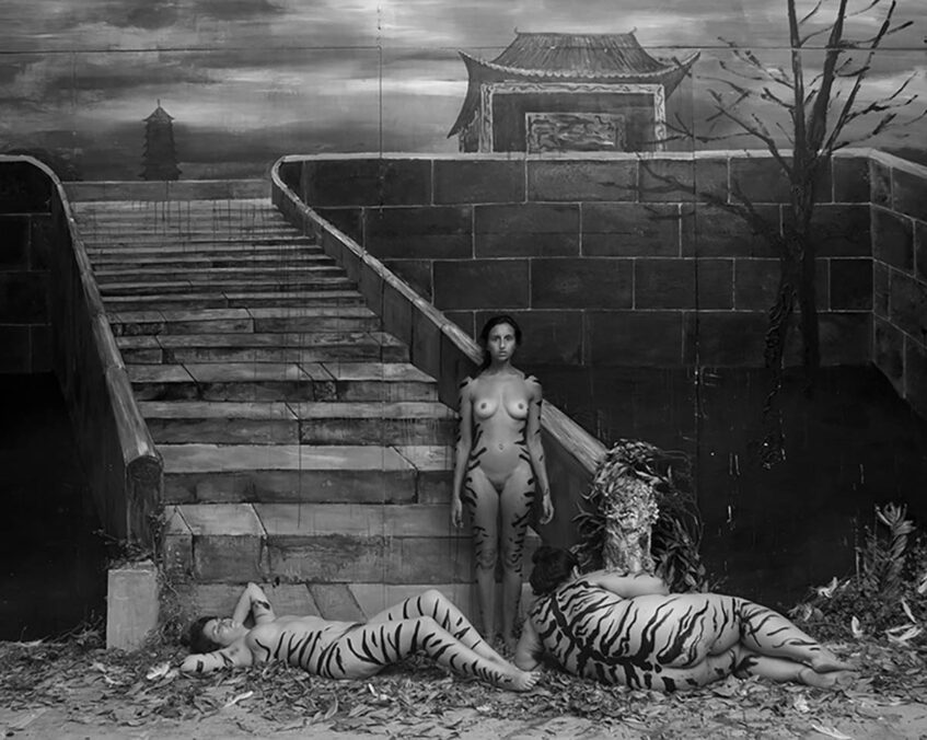 Zong Ning, Rouge Tigers, Canson Infinity Rag Photographique, 140 x1 80cm