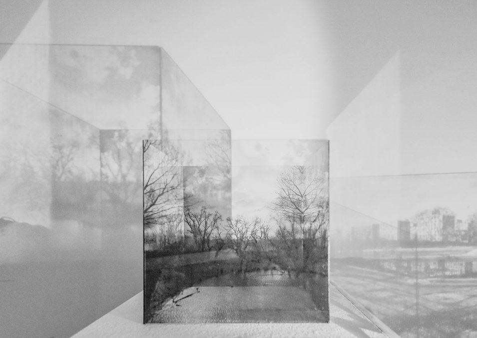 Perceptual Grounds Joanna Pianka & Veronika Suschnig