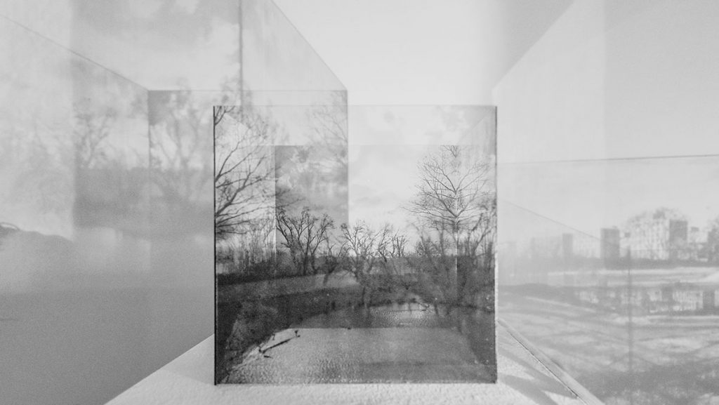 Perceptual Grounds Joanna Pianka & Veronika Suschnig