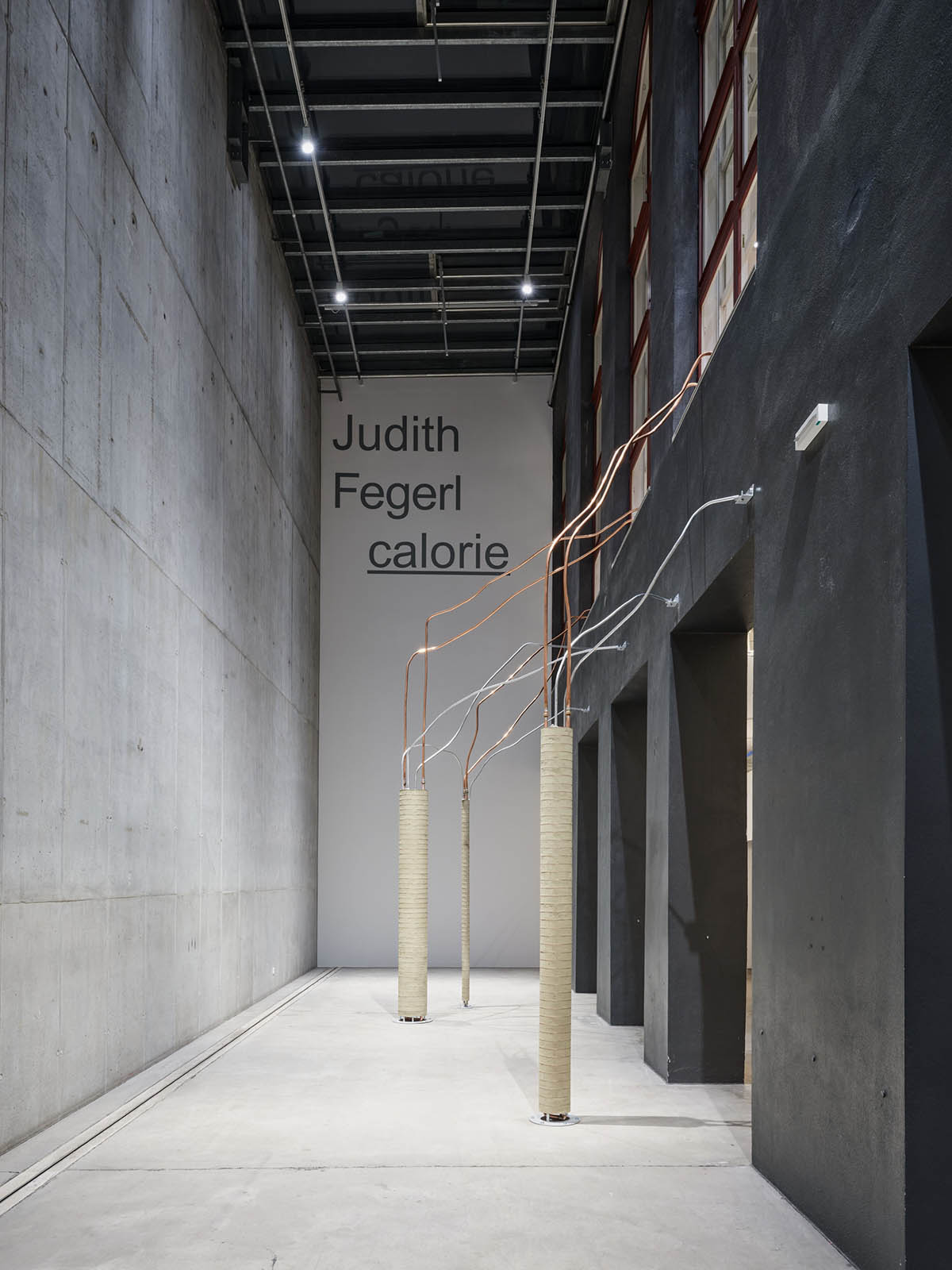 Exhibition view. Judith Fegerl – calorie. Photo: © Günter Richard Wett; courtesy of the artist and Galerie Hubert Winter