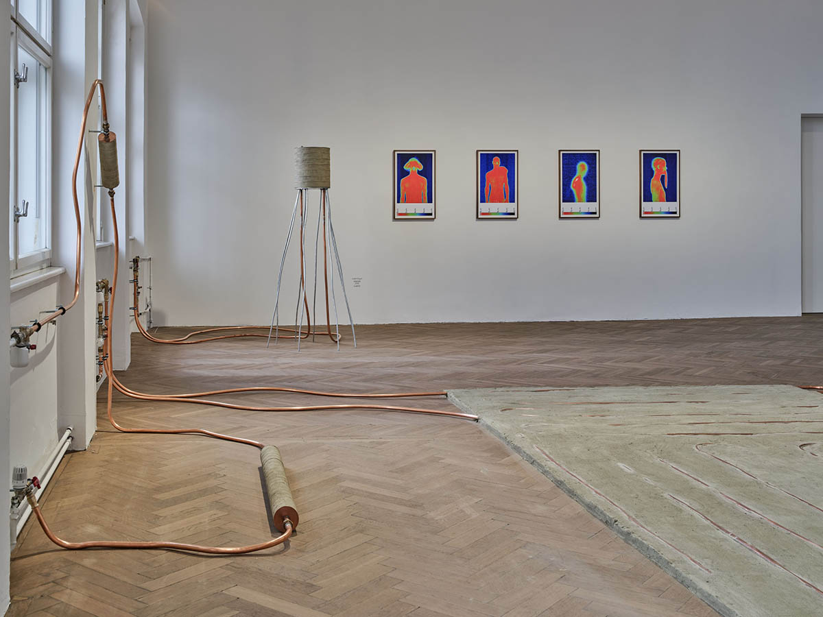 Exhibition view. Judith Fegerl – calorie. Photo: © Günter Richard Wett; courtesy of the artist and Galerie Hubert Winter