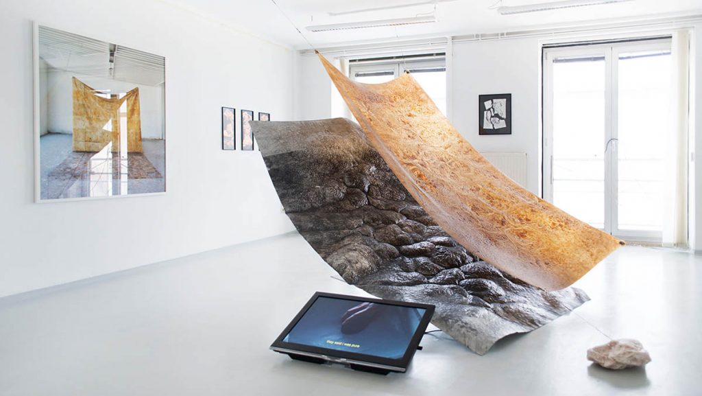 Kaja Clara Joo DISTANT RELATIVES