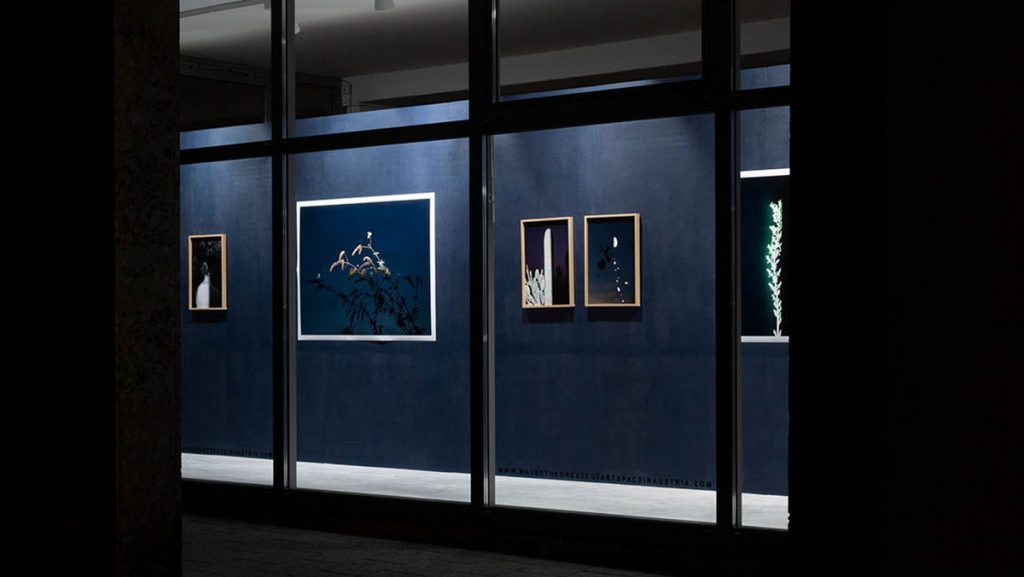 Katrin Froschauer & Valentin Backhaus