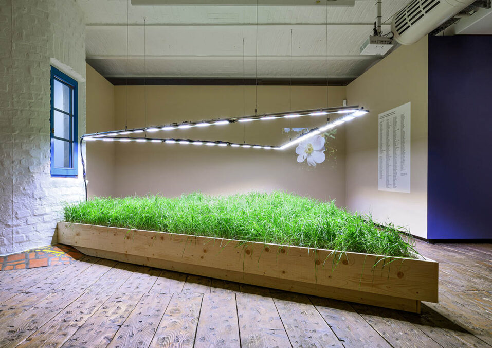 Ausstellungsansicht, Seeds. Reclaiming Roots, Sowing Futures © KuntHausWien, Foto: Iris Ranzinger