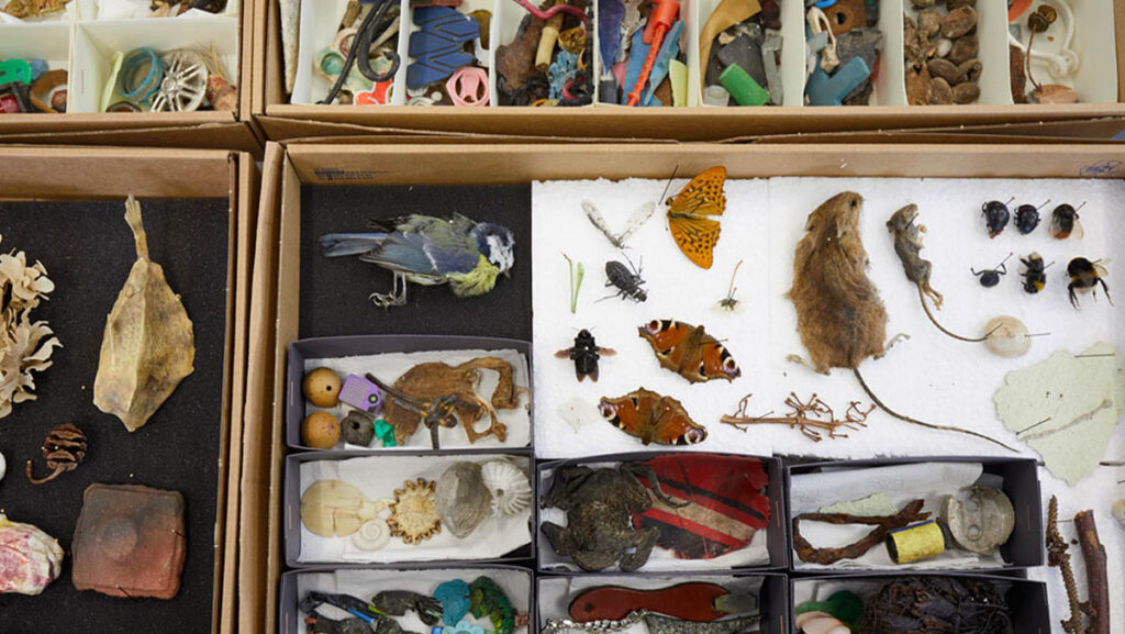 Courtesy of: Edith Payer for WARE/WERE. SIZE MATTERS, 2026