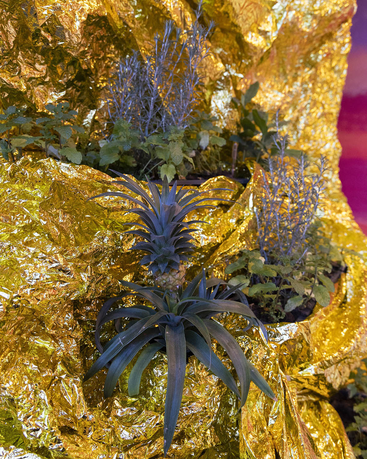 Installation: Guadalupe Aldrete. Photo Marisel Bongola at MEZEKERE 2026