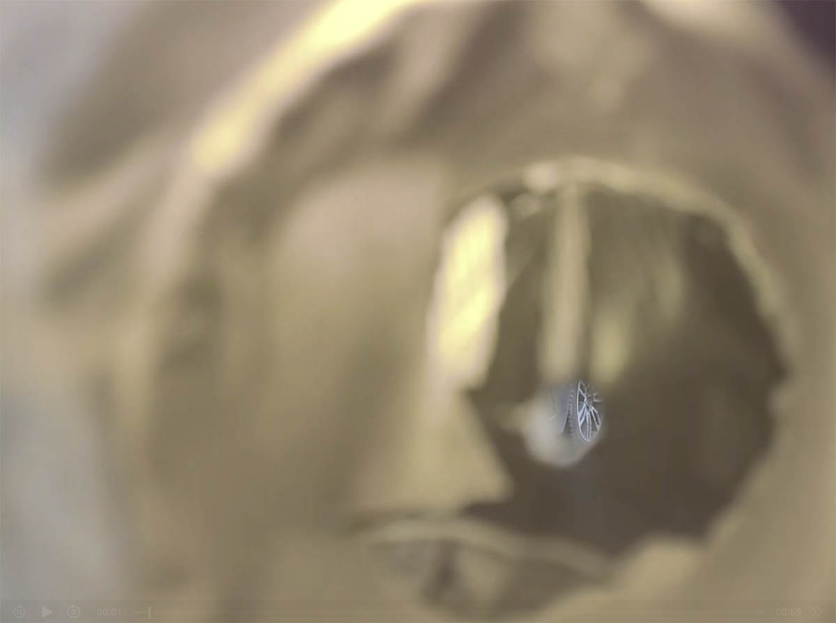 Asta Lynge, Courtesy of the Artist, 2026. Kunstverein Kevin