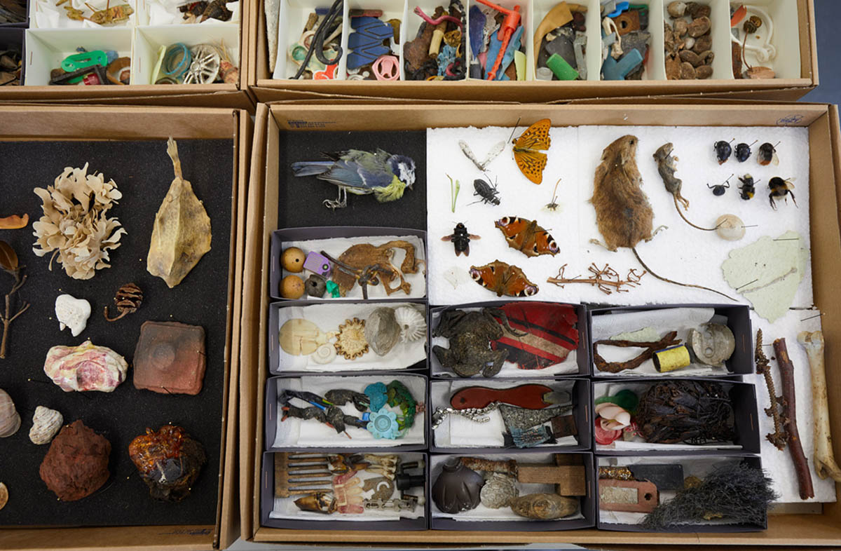 Courtesy of: Edith Payer for WARE/WERE. SIZE MATTERS, 2026