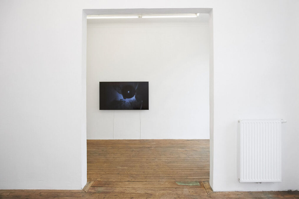 Exhibition view: Chariot by Asta Lynge, Kunstverein Kevin.