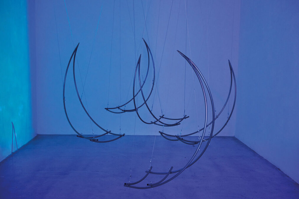 Exhibition view: Fishy Business. Hydromorphologies and Wetware, curated by Carmen Lael Hines and Lisa Jaeger, WAF.