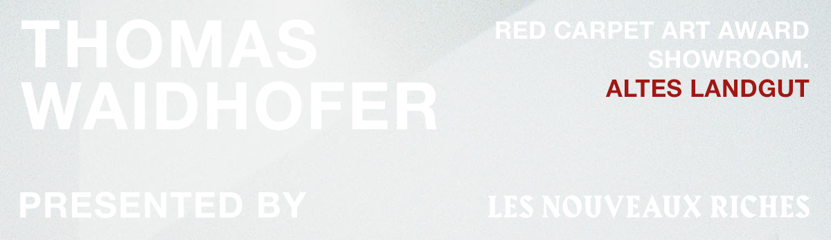Exhibition: Thomas Waidhofer – STRAPPED