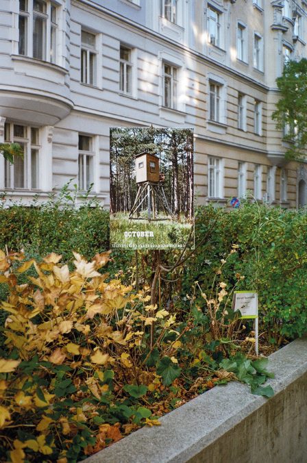 Fotos: Daniel Lichterwaldt