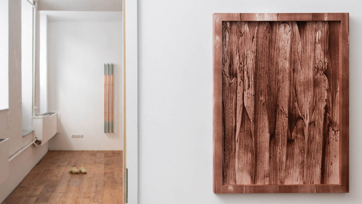 exhibition view: Lisa Reiter – tacit at Puuul Space, Vienna, 2026. Photo: Gregor Hofbauer