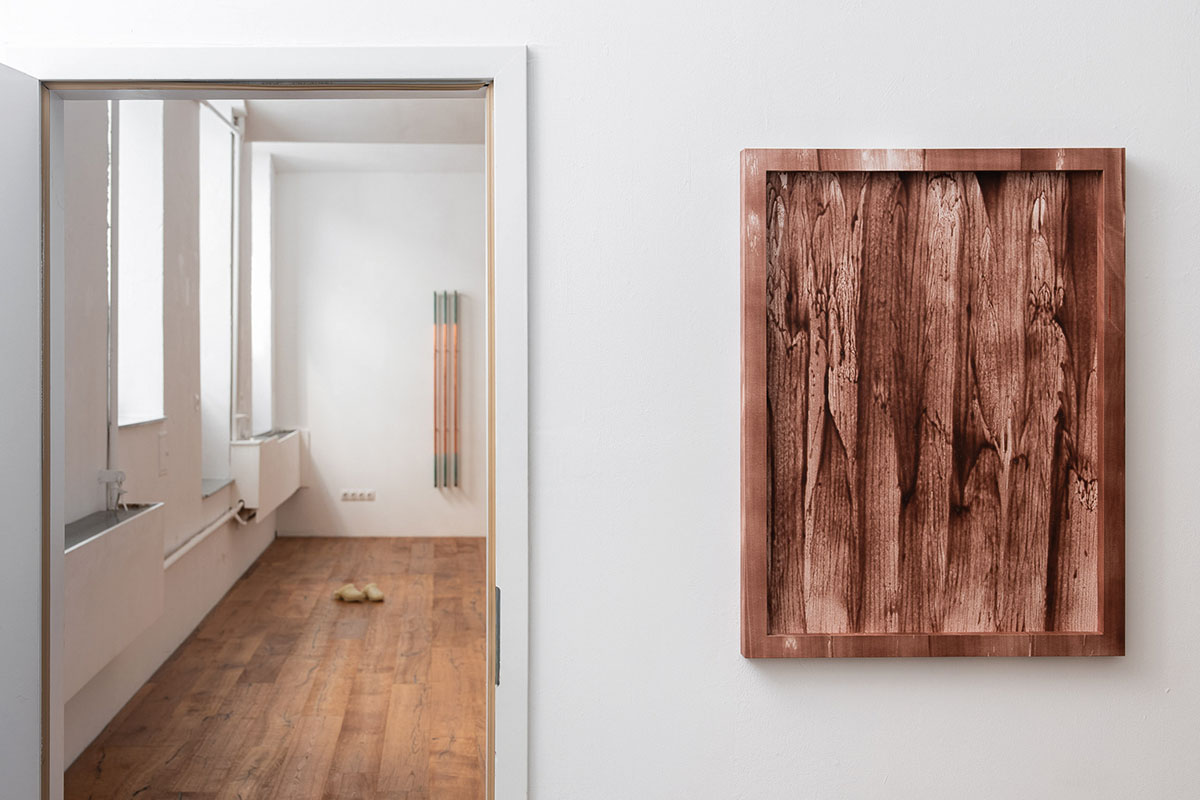 exhibition view: Lisa Reiter – tacit at Puuul Space, Vienna, 2026. Photo: Gregor Hofbauer