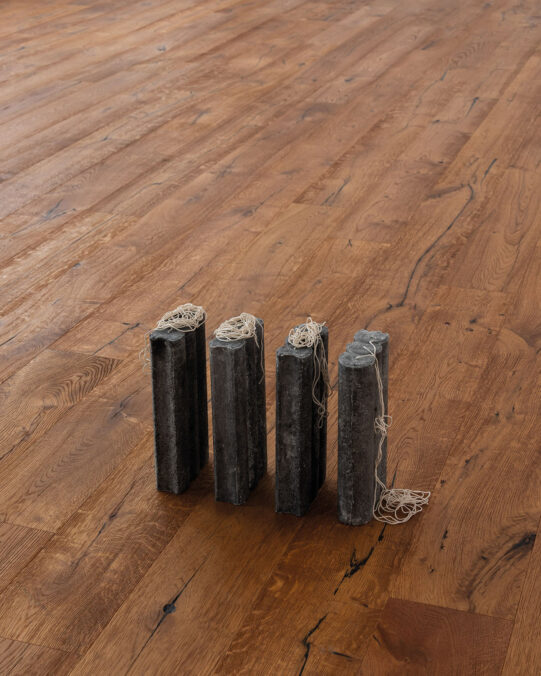 exhibition view: Lisa Reiter tacit at Puuul Space, Vienna, 2026. Photo: Gregor Hofbauer