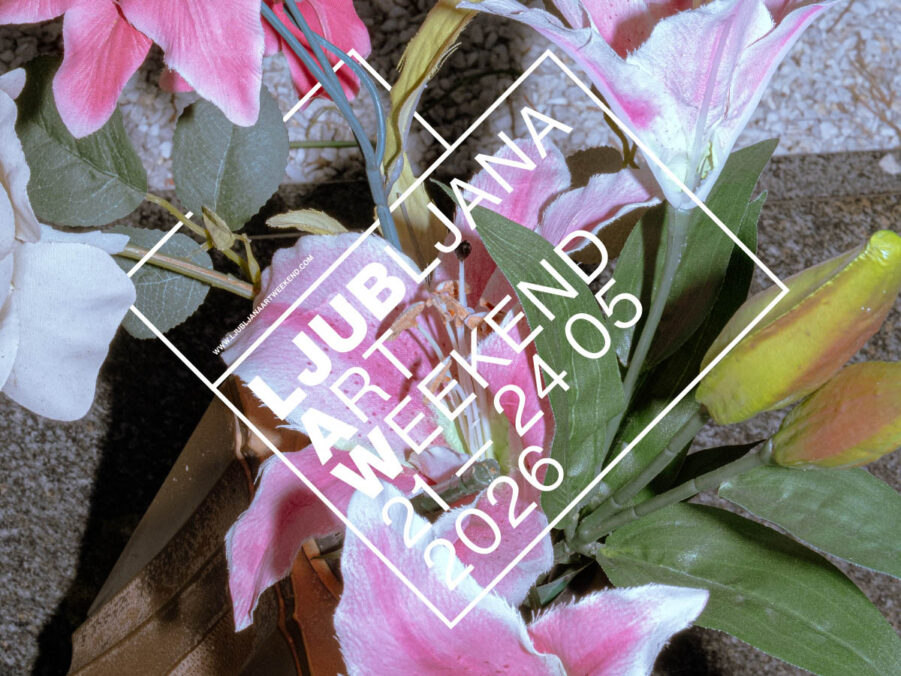 Eva Bevec, In Loving Memory of, 2025. Courtesy of the artis and Ljubljana Art Weekend.