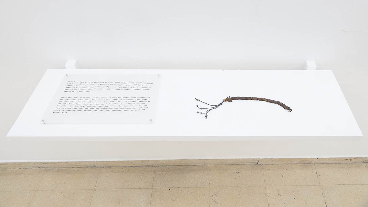 exhibition view: Mahsa Aleph – After the Corpse, Kunstpavillon 2026. Photos: WEST. Fotostudio & Daniel Jarosch