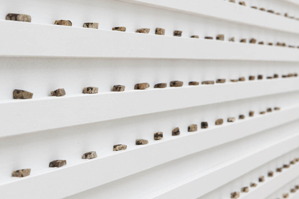 exhibition view: Mahsa Aleph – After the Corpse, Kunstpavillon 2026. Photos: WEST. Fotostudio & Daniel Jarosch