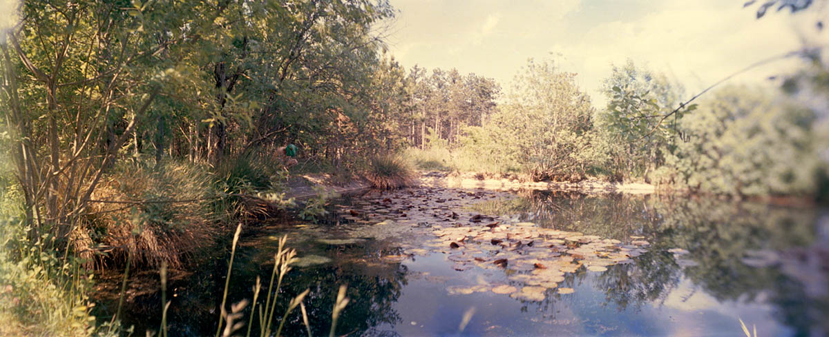 7137_22_frosch, 2021! aus der Serie „tragödien: ich habe dir niemals was versprochen“! analoge Panoramafotografie mit gekochtem Film! ! © marko zink! ! Assistenz: Gerd Franz Josef Winkler!