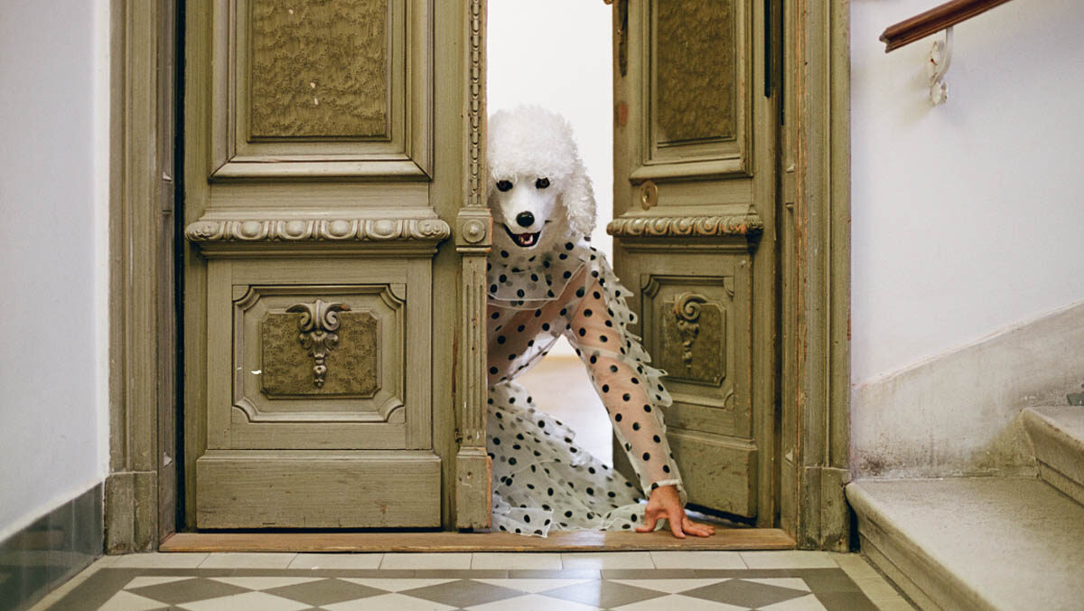 MARKO ZINK zu Gast bei Franziska Hausmaninger