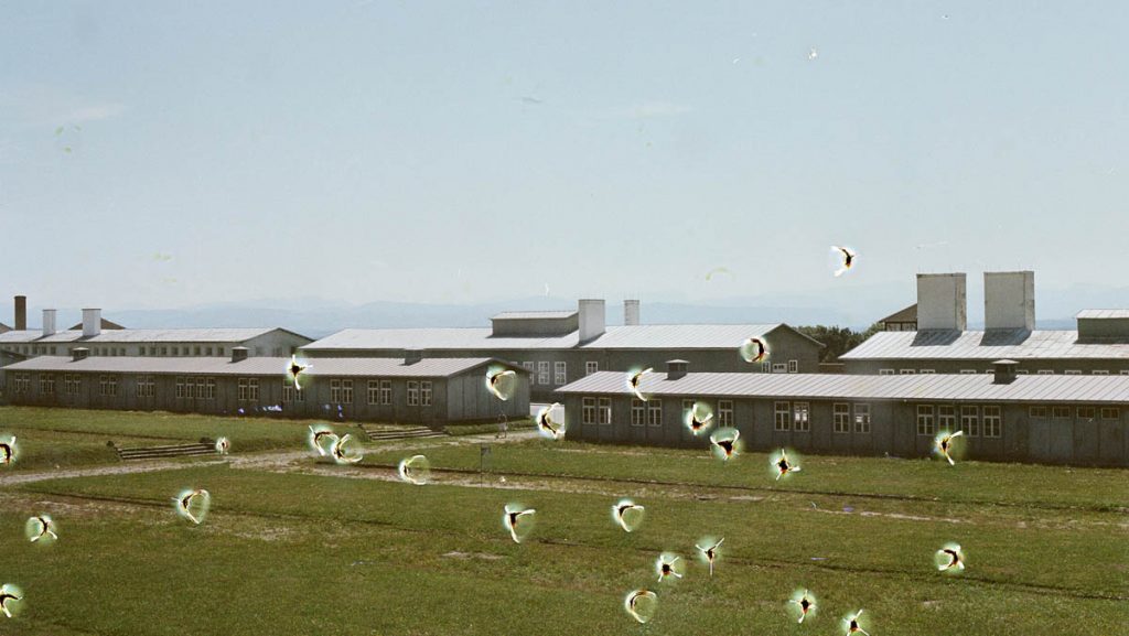 Die Wiederholung_2, 2018 Analoge Fotografie, Pigmentdruck, 30 × 45 cm Ort: Die Fotografie (Die Wiederholung_2) zeigt den Blick auf die Baracken. Technik: Das Negativ wurde vor Belichtung gekocht, mit einem Locher gestanzt und mit Stecknadeln markiert. Konzept: Die Fotografie wurden von einem Hochsitz aus einer gewissen Distanz aufgenommen und verortet die Perspektive der Täter. Die destruktive Bearbeitung des Filmmaterials vermittelt das Grauen (Mühlviertler Hasenjagd, 1945). © Courtesy of the Artist & Galerie Michaela Stock